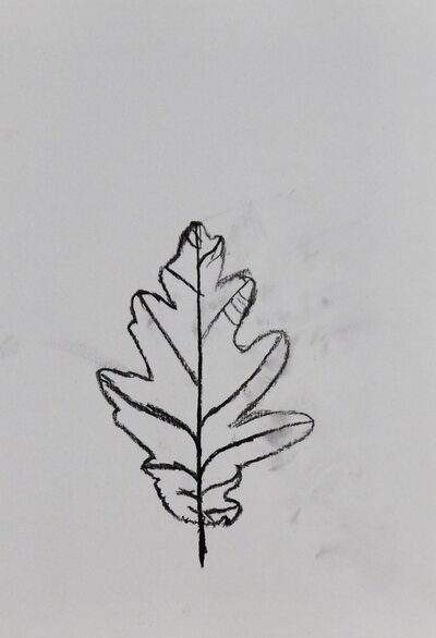Leaves - Leaf - 49